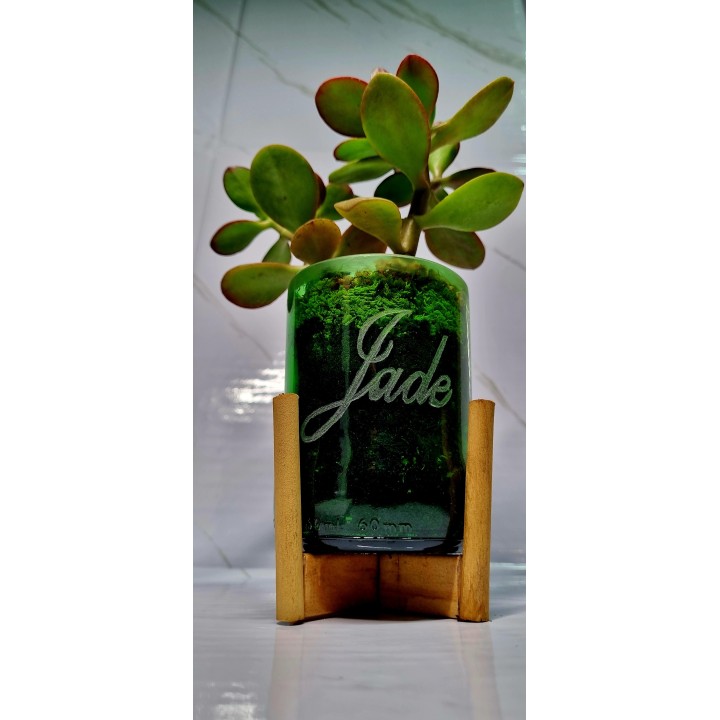 Árbol de jade pequeño